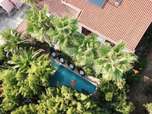 Family friendly house with a swimming pool Pjescana Uvala, Pula - 21764 