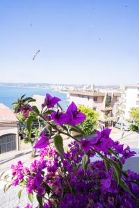 Hotel Boutique Vista Velero