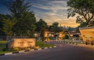 The Bus Collective - Kampong Linting