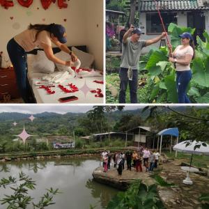 Villa Falian Nido Colibrí