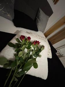 Apartments and Wellness Ščavničar