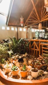 Villa Skanderbeg Guest House