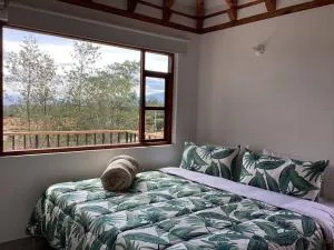 Tesoro de la Montaña! - Versalles