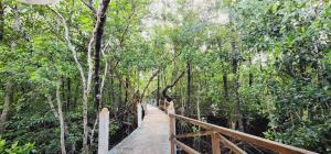 Pondok Wisata terapung desa Palaes