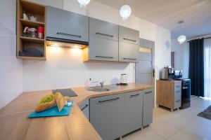 Apartament Niebieska Obfitość