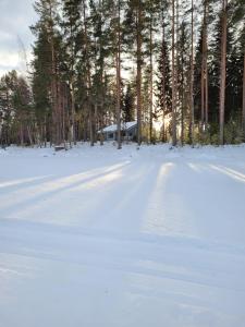 Välituvan lomamökit