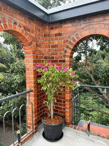 Limelights Premium Serviced Residences