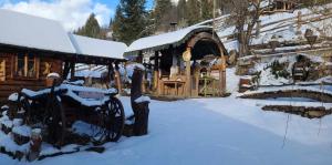 Casa Rustik Bucovina