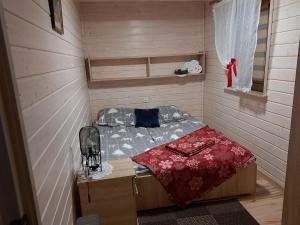 Domki Borowiackie nad brzegiem jeziora