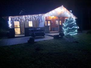 Domki Borowiackie nad brzegiem jeziora