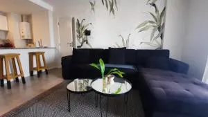 Rio Apart Michelangelo - General Cabrera