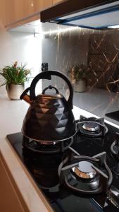 Apartament u Anielki