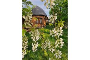 Villa with Garden View room in Valentina Castle
