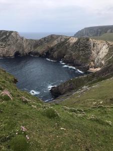 Cherry blossom Erris