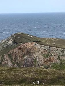 Cherry blossom Erris