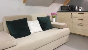 Apartament Natural ASD Studio