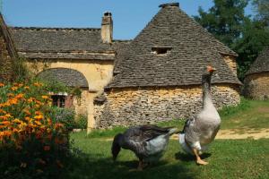 Les charmes en périgord noir proche de Sarlat