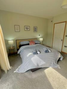 The Surf House (Widemouth Bay)