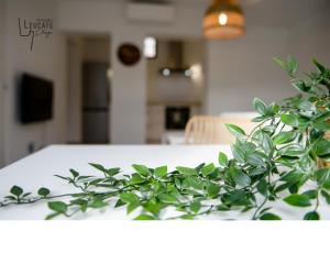 Appartements Residence Leucate Plage « Le Patio » : photos des chambres