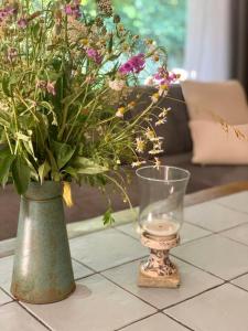 Hummergrund Seepferd