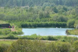 Appartements Les Dunes Blanches : photos des chambres