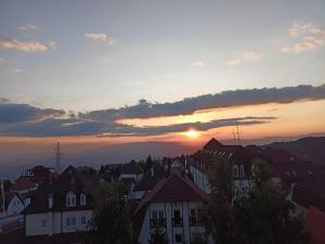 PETRA Apartman Kopaonik