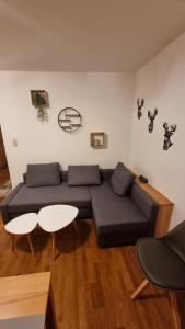 Schladming Planai View Top 12