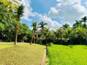 Wana Karsa The Villas Ubud