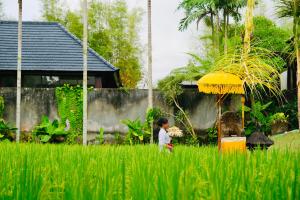 Wana Karsa The Villas Ubud