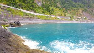 Lazy Lizard by the Ocean