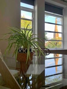 Linnet House - Relaxing - Leafy - Whole Apt- 2 Bed