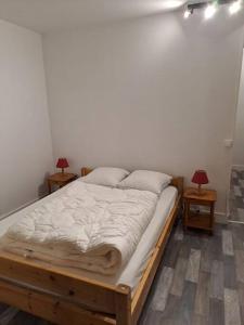 Appartement résidence Les Dryades avec vue montagne