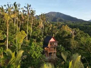 Bali jungle cabin - Blimbing
