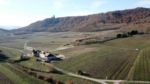 Maisons de vacances Le Gite du Taennel : photos des chambres
