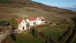 Le Gîte du Taennel - Dieffenthal