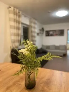 Rheinview Sunset Apartment Urbar - 乌尔班