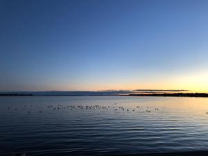 Endless Horizons - Modern Lakeside Villa with Spa