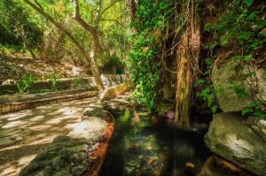 Casa Rosa em Monchique