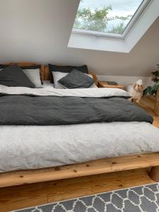 Komfort Maisonettewohnung