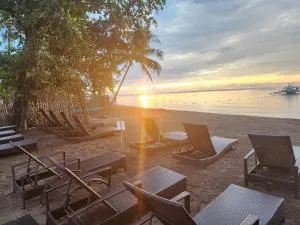 AivyMaes Divers Resort - Masaplod