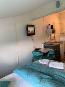 Appartements LE BLEU face au Rhone by Chez Alam : photos des chambres