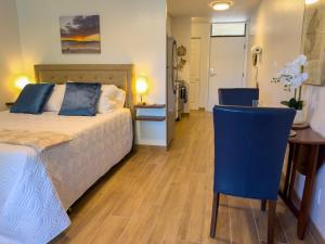 Newly remodeled studio, jacuzzi and pool