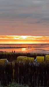 Nordsee 08 Helgoland