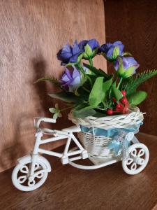 Cabaña Amadeus cerca al mar