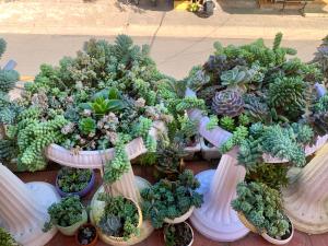 Homestay Ahihi Đà Lạt