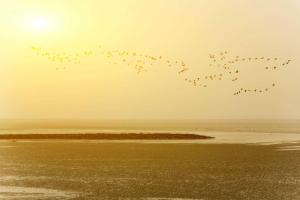Ferienhaus Kuckuck am Meer