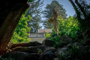 Stylish Garden-Gem by Lake: Pet-Friendly & Central