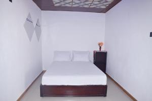 Saki Villa, boat tours & sea food with rotti