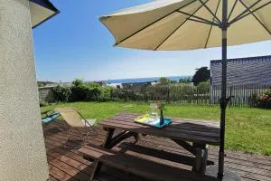 Capucines et agapanthes - 庞特雷