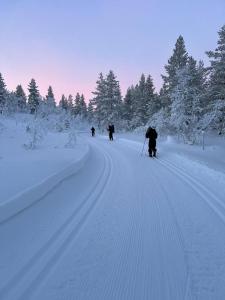 Saariselällä, sielukas hirsimökki - Unique cottage